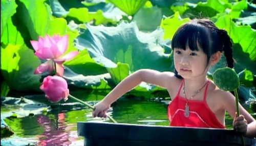 《湘潭园林城市》